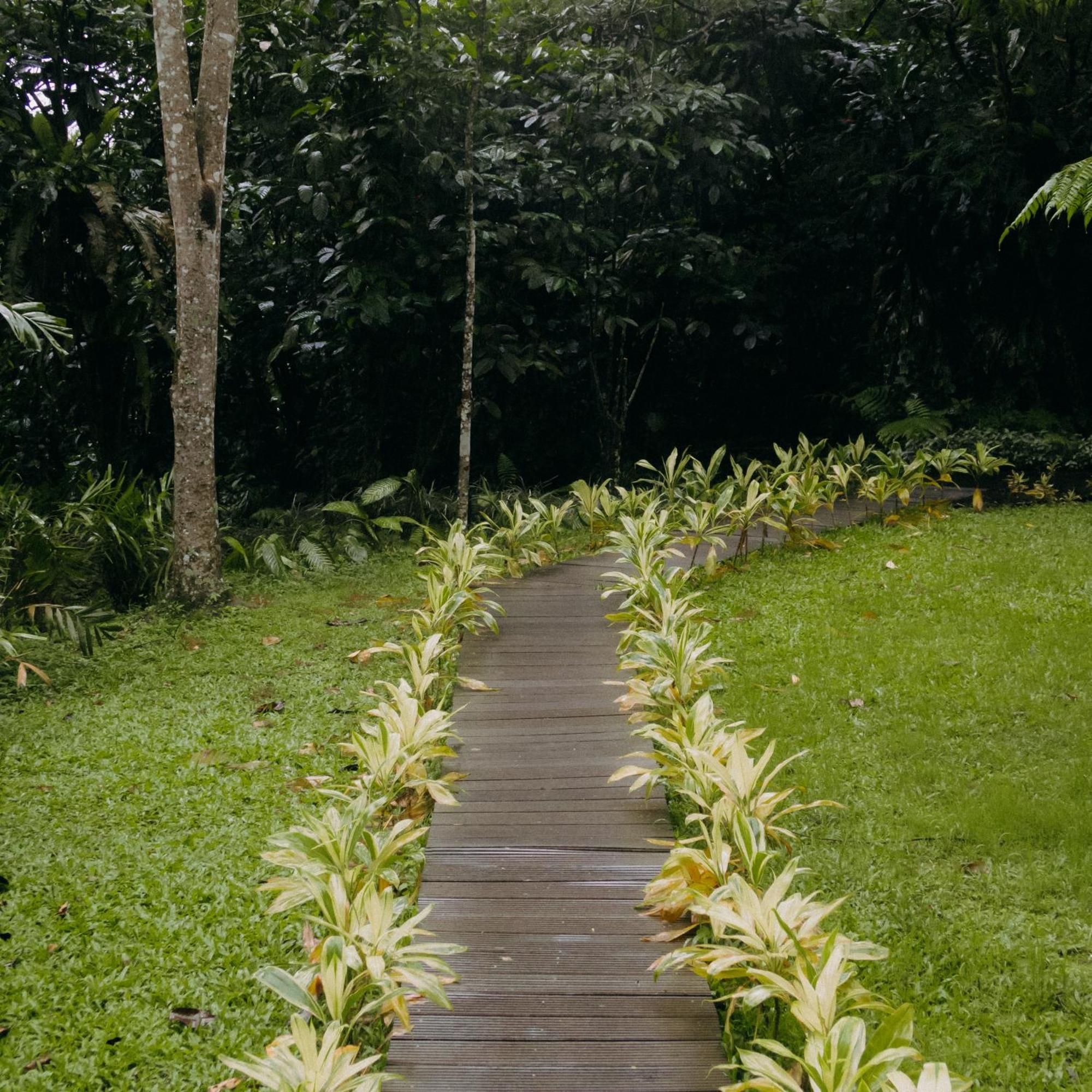Hotel Habitat Hills Cisarua Exterior foto